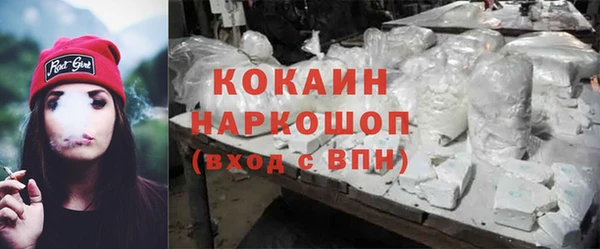 прущие грибы Балабаново