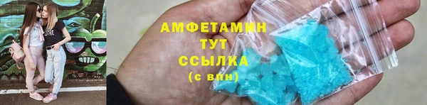 прущие грибы Балабаново