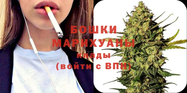 прущие грибы Балабаново