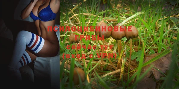 дурь Баксан