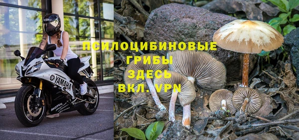 мяу мяу кристалл Балахна