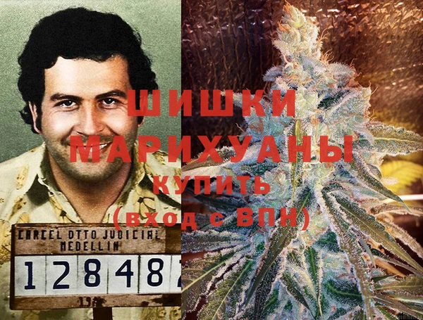 прущие грибы Балабаново