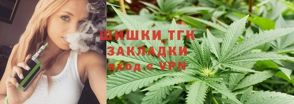 прущие грибы Балабаново